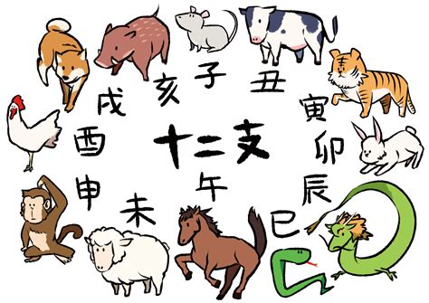 12種|干支（十二支）の順番と由来は？各動物の意味・特徴を徹底解説。